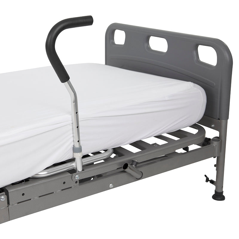 Bed rail cane